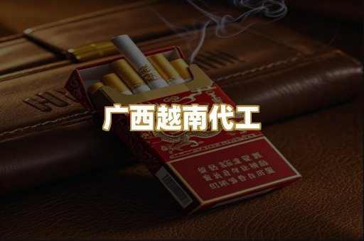 广西越南代工